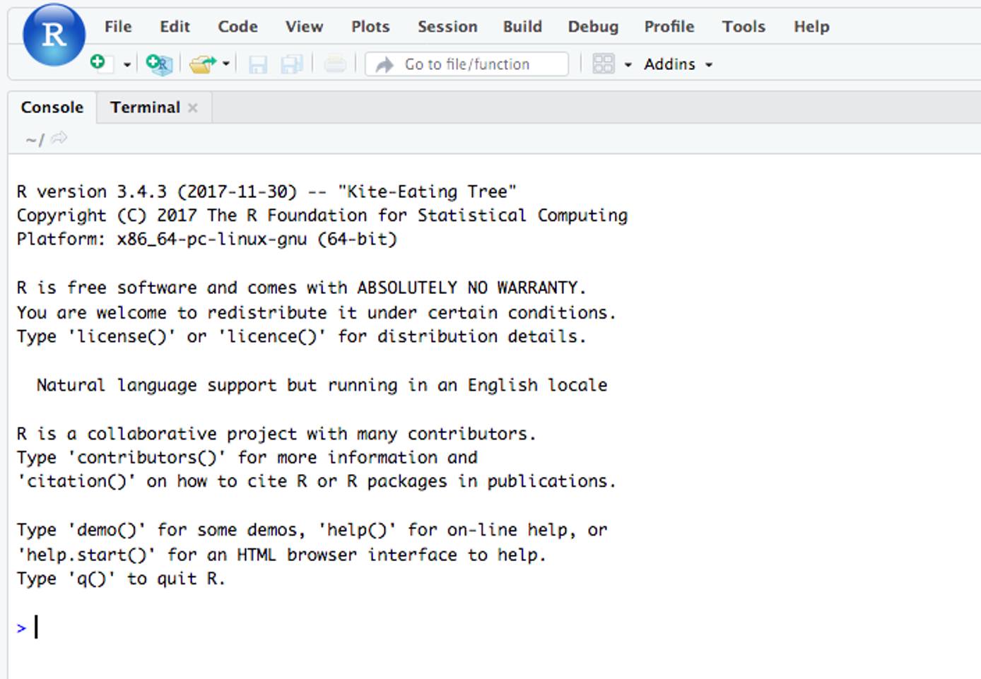 Rstudio Screen Rstudio Screen
