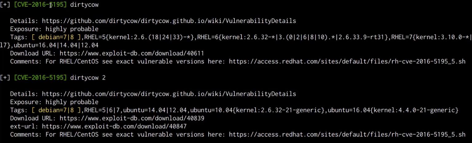 Linux-Exploit-Suggester output Linux-Exploit-Suggester output